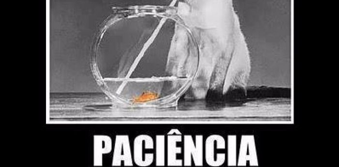 Paciência