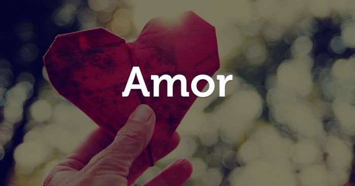 amor amor