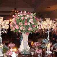 Cor para decoração - 1
