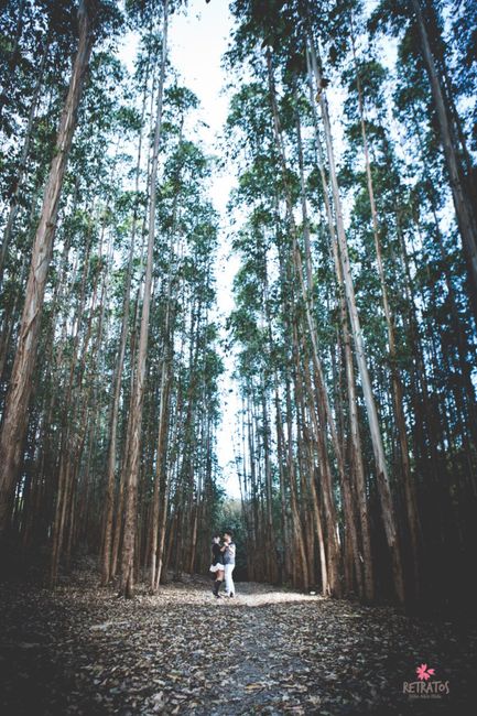 Meu pré wedding - vem Ver! 💖📸👰🏼🐷 - 4