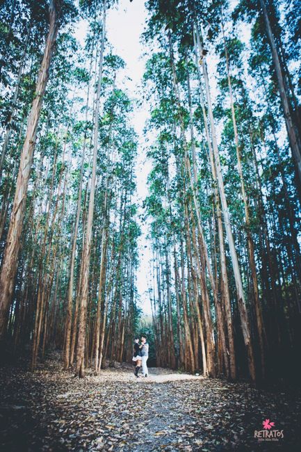 Casamentos reais 2018: o pré-wedding - 1