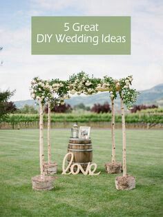 Inspiraçao tiana (a princesa e o sapo) para casamento - 18