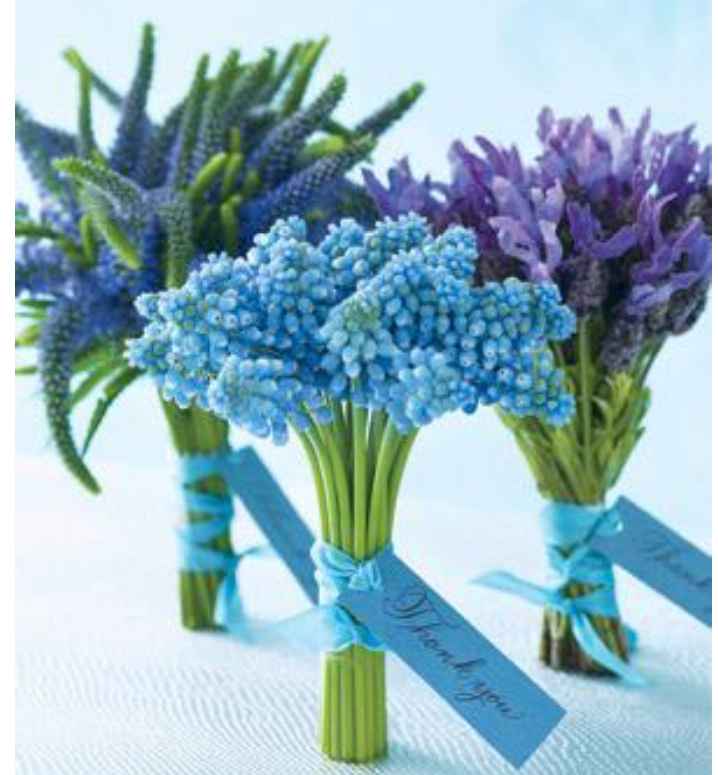 Florzinhas