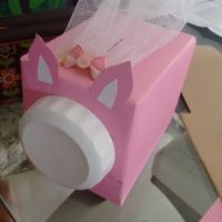 orelhas, veu e lacinho