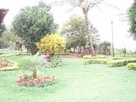 Jardim