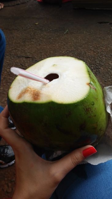 A primeira viagem!  - 6