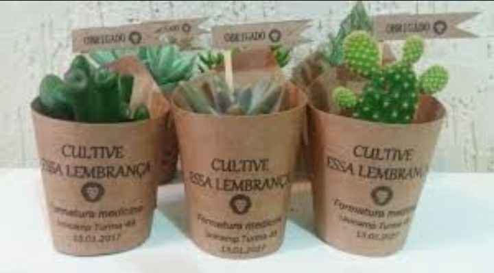 Cactus e suculentas de lembrancinha - 1