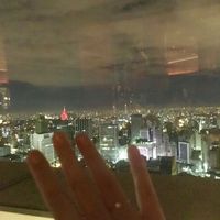 Pedido Oficial de Casamento - 1