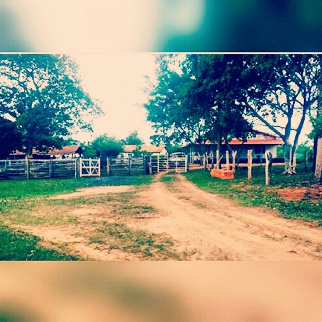 Amor a primeira vista! sitio mil maravilhas. - 1