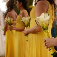 Damas e madrinhas!