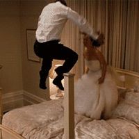 D) Não decidimos ainda