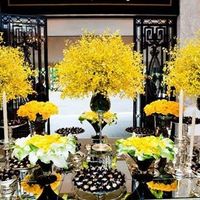 Flores naturais ou artificiais?