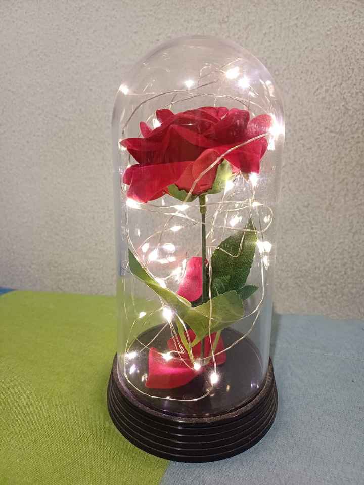 Porta Aliança 💍 - 1