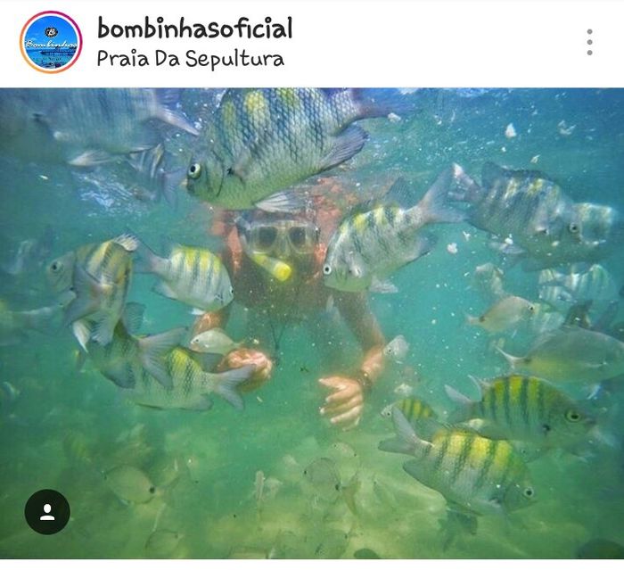 Lua de Mel em Balneario Camboriú-sc 9