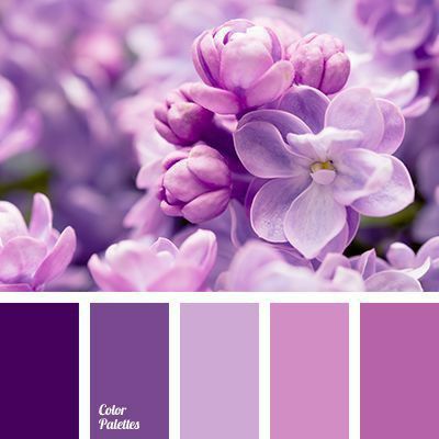 Dicas de cores para casamento à noite e no Inverno 4