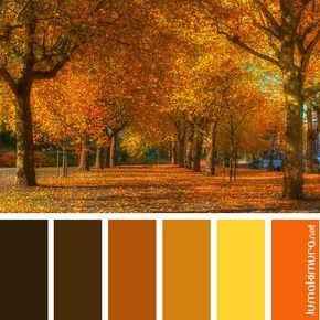 Combinação da paleta de cores - 1