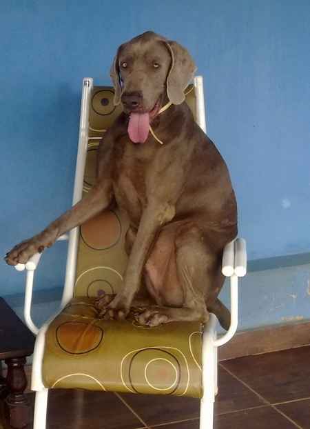 Olha a pose