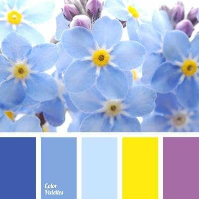 Qual a cor da decoração? - 1