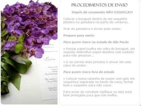 Procedimentos