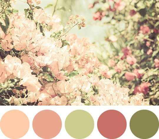 Minhas paleta de cores 
