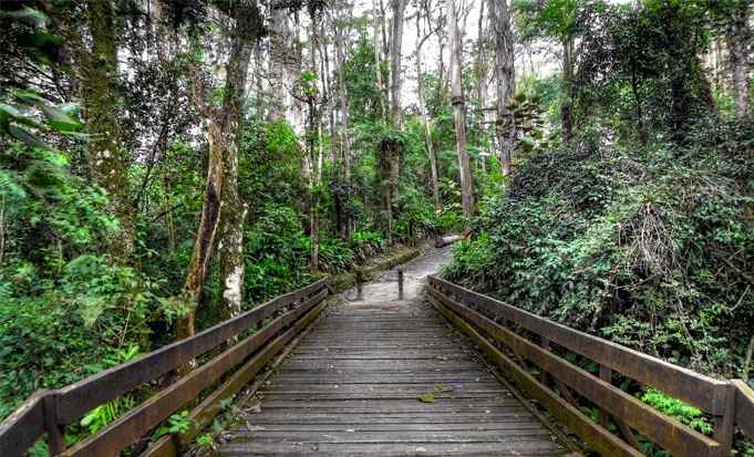 Parque do Carmo