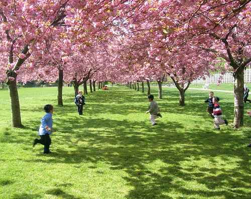 Parque do Carmo