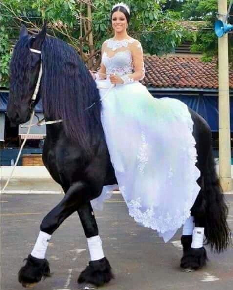 Casamento no rancho - 1