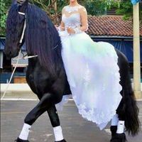 Casamento no rancho - 1