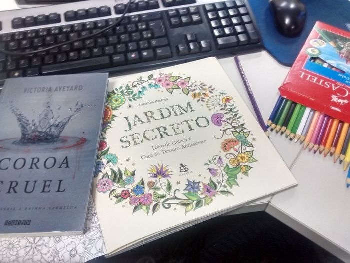 minhas paixões 