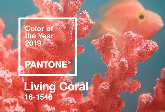 cor do ano 2019: living coral 4