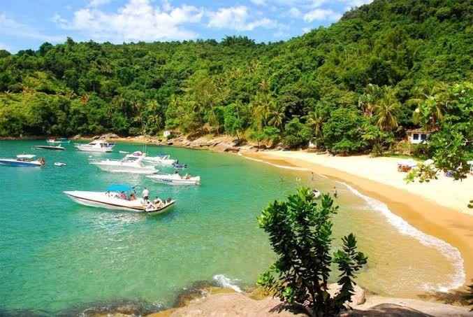 Lua de Mel em Ilhabela - 1