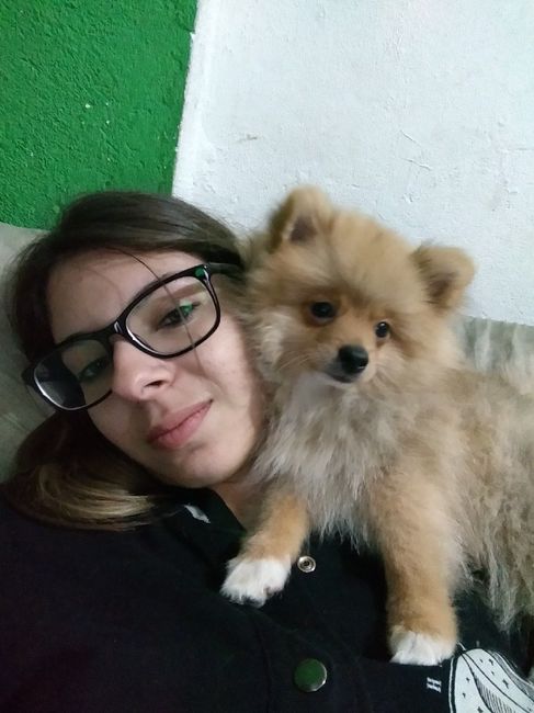 Filho de 4patas - 2
