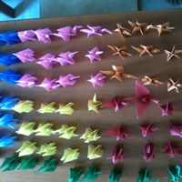 Meu pequeno e colorido exercito.