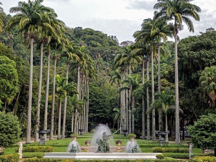 Jardim interno Palácio Guanabara