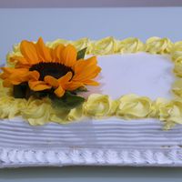 Minha  Recepção Pós Civil - #vemver - 3