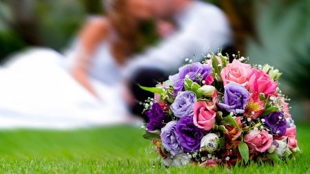 Cor do meu casamento