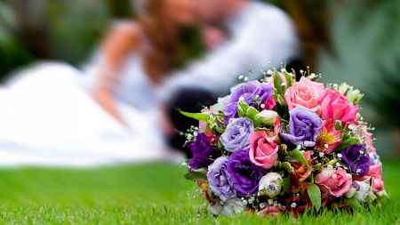 Cor do meu casamento