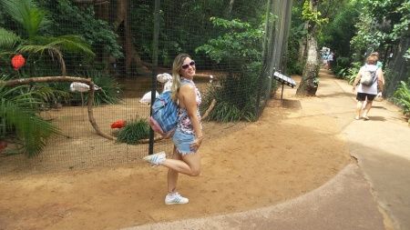Imitando os flamingos