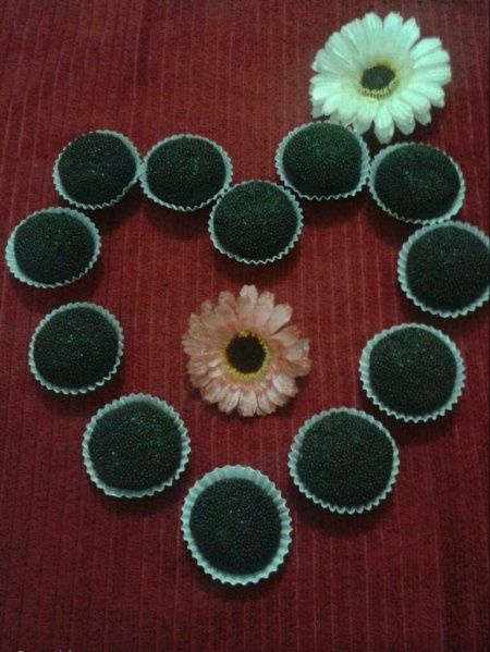 Fotografia de noivos do dia - casal confeiteiro 03/06/2015 - 1