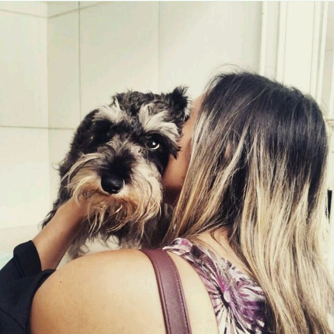 Filhote de pêlo dodói e ausente na comu!! - 8