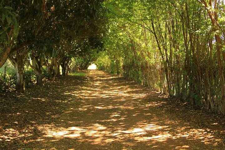 Noivinhas df me ajudeem - 3