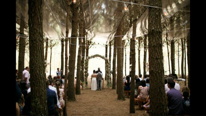 Casamento em novembro/dezembro 2018 - 1