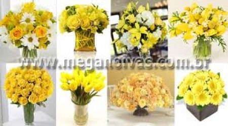 :) especial amarelo :) - 2