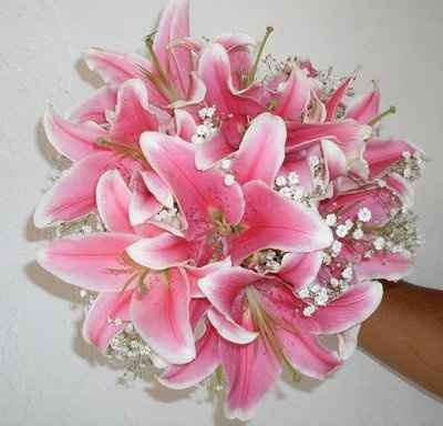 Flores 