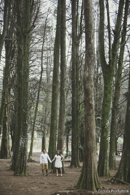 Pré wedding horto florestal de sp - 8