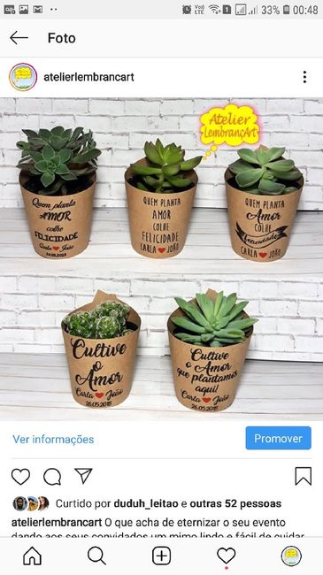 Estou procurando suculentas/cactos para lembrancinha - 1