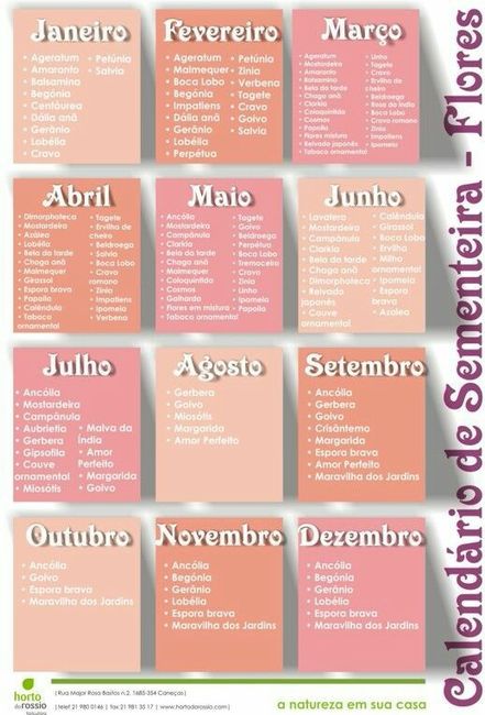Os meses e suas flores