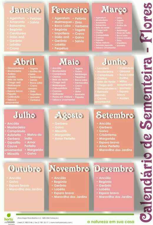  Decoração para mês de agosto - 1