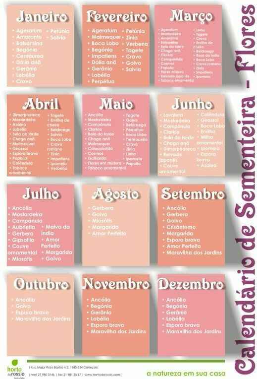 Os meses e suas flores
