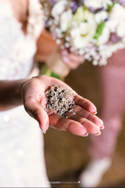 Essa Chuva de Lavanda é ou não é incrível? 2
